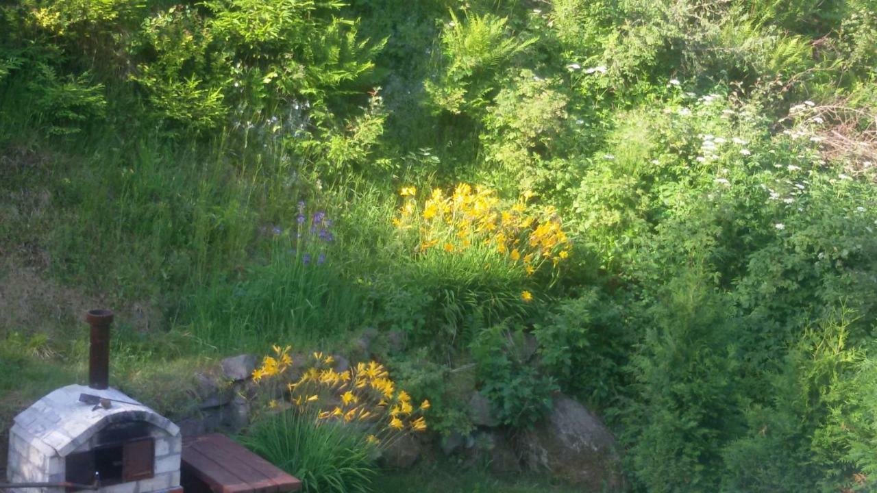 Apartamenty Grosik Krynica-Zdrój Esterno foto